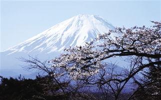 富士山最新爆料新闻,揭秘神秘火山喷发前的征兆与应对措施