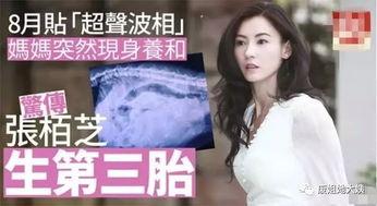 张柏芝狗仔爆料图片视频,真实生活瞬间曝光 第2张 张柏芝狗仔爆料图片视频,真实生活瞬间曝光 第2张